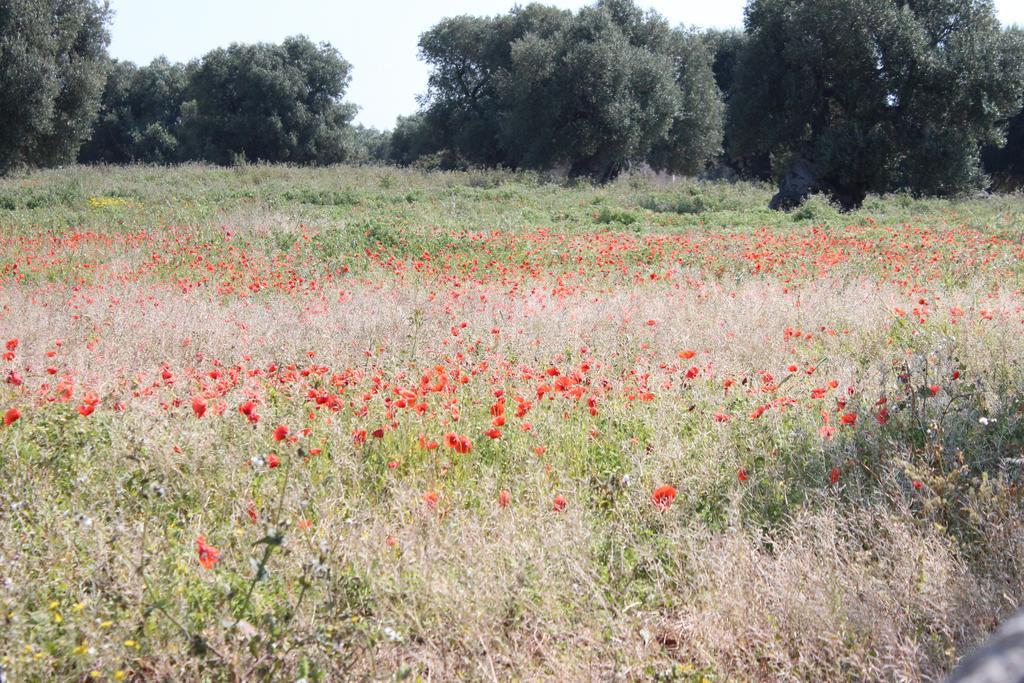Masseria Valente أوستوني المظهر الخارجي الصورة
