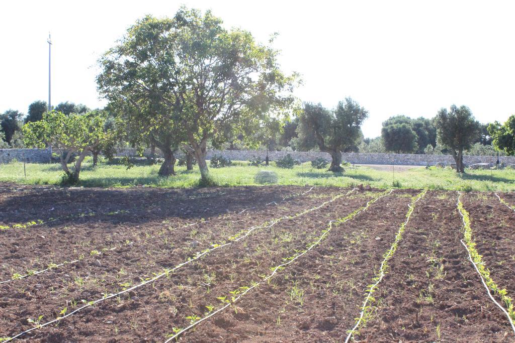 Masseria Valente أوستوني المظهر الخارجي الصورة