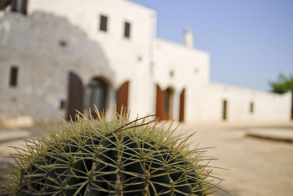 Masseria Valente أوستوني الغرفة الصورة